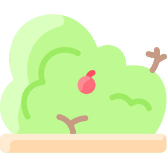 bush